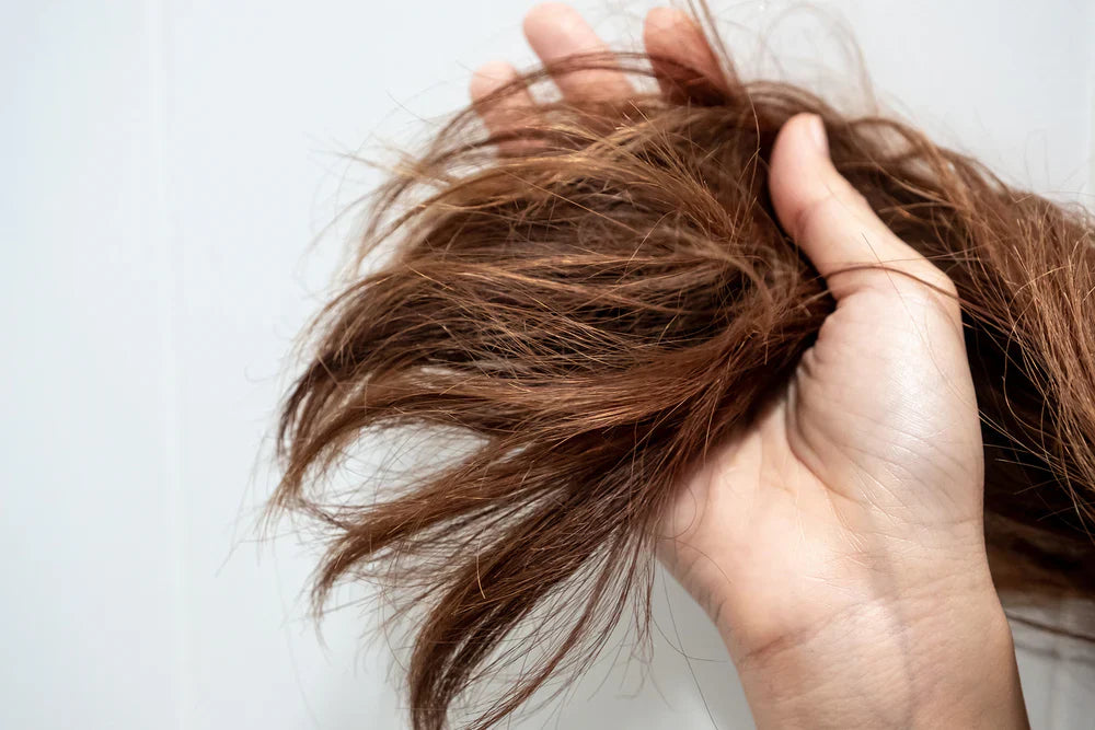 Que faire pour les cheveux secs ?