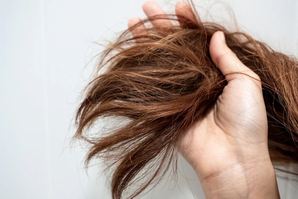 Que faire pour les cheveux secs ? - helyor